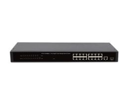 16-ports 10/100mbps + 1-port gigabit combo web smart ethernet